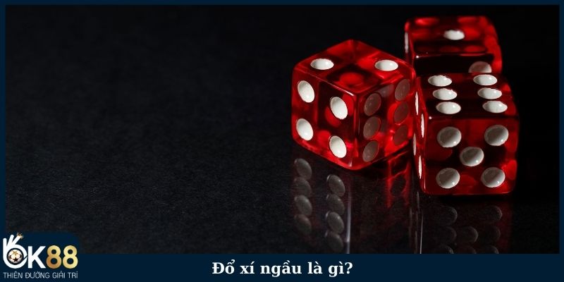 Đổ xí ngầu là gì?