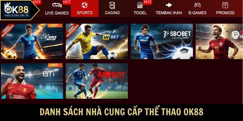 Danh sách nhà cung cấp thể thao OK88