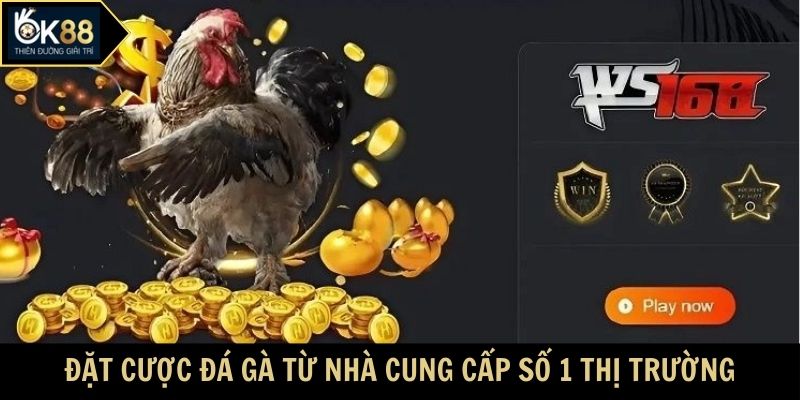Đặt cược đá gà từ nhà cung cấp số 1 thị trường