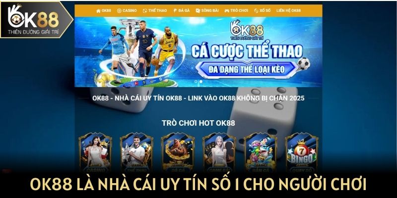 OK88 là nhà cái uy tín số 1 cho người chơi