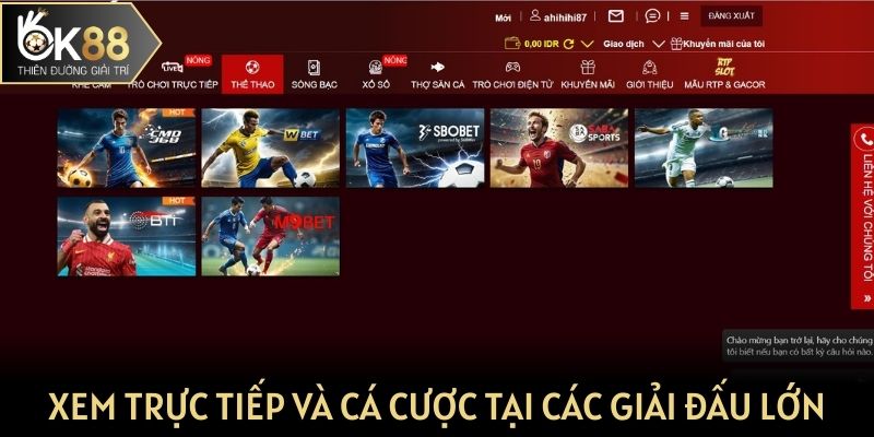 Xem trực tiếp và cá cược thể thao tại các giải đấu lớn